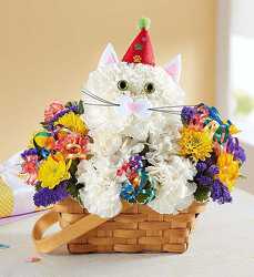 Purrfect Party Cat blm-148651 from Krupp Florist, your local Belleville flower shop