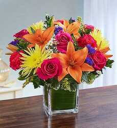 Healing Tears Multicolor Bright blm-148684 from Krupp Florist, your local Belleville flower shop