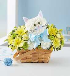 Fabulous feline for baby boy blm-166264b from Krupp Florist, your local Belleville flower shop