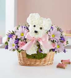 It’s a-DOG-able Girl blm-166265g from Krupp Florist, your local Belleville flower shop