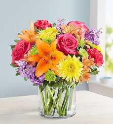 Vibrant Beauty Bouquet blm-167526 from Krupp Florist, your local Belleville flower shop