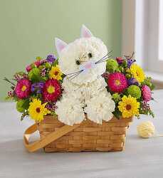 Fabulous feline blm-174312 from Krupp Florist, your local Belleville flower shop