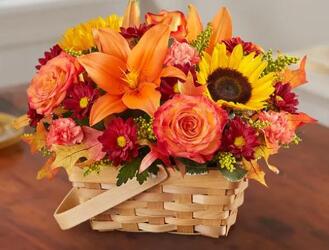 Fields Of Europe For Fall Basket blm-176874 from Krupp Florist, your local Belleville flower shop