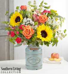 Sunshine Splendor blm-179314 from Krupp Florist, your local Belleville flower shop