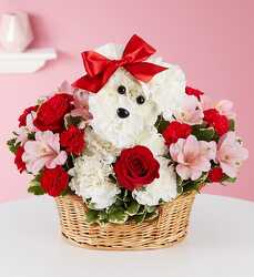 Love pup blm-179409 from Krupp Florist, your local Belleville flower shop