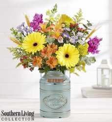 Autumn Delight blm-183641 from Krupp Florist, your local Belleville flower shop
