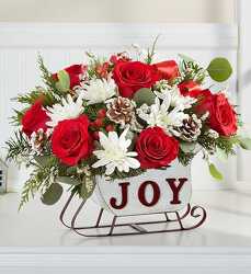 **3 left** Dashing Through the Snow Sleigh blm-183853 from Krupp Florist, your local Belleville flower shop