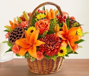 Fields of Europe blm-191109 from Krupp Florist, your local Belleville flower shop