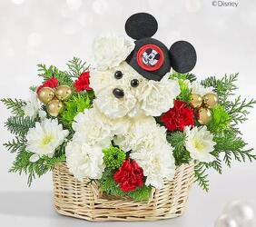 a-DOG-able Disney Mickey Mouse from Krupp Florist, your local Belleville flower shop
