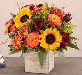Harvest Glow Bouquet blm-191123 from Krupp Florist, your local Belleville flower shop