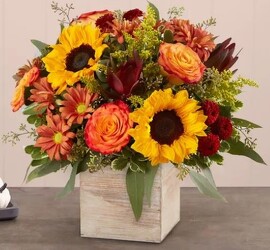 Heartfelt Radiance Bouquet for Sympathy blm-191124 from Krupp Florist, your local Belleville flower shop