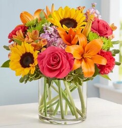 Floral Embrace blm-191167 from Krupp Florist, your local Belleville flower shop