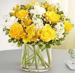 Yellow & White Delight Bouquet blm-191171