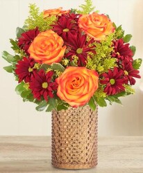 Amber Waves blm-191341 from Krupp Florist, your local Belleville flower shop
