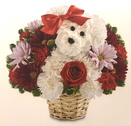 Love pup blm-179409 from Krupp Florist, your local Belleville flower shop