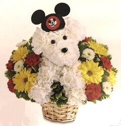 A-Dog-able Disney Mickey Mouse from Krupp Florist, your local Belleville flower shop