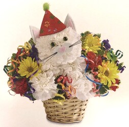 Purrfect Party Cat blm-148651 from Krupp Florist, your local Belleville flower shop