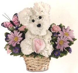 Precious Pup blm-191546 from Krupp Florist, your local Belleville flower shop