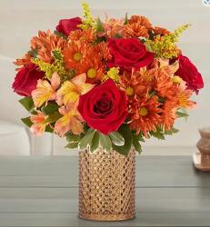 Rustic Radiance Bouquet blm-192454 from Krupp Florist, your local Belleville flower shop