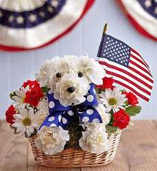 Yankee Doodle Doggie blm-91874 from Krupp Florist, your local Belleville flower shop