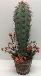 Silk cactus arrangement cactus19-01 from Krupp Florist, your local Belleville flower shop
