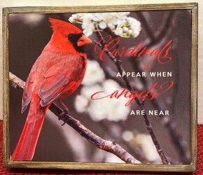 Cardinal appear picture card-pic2202 from Krupp Florist, your local Belleville flower shop