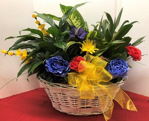 Decorated Dishgarden planter XXXL-dish-bsktd from Krupp Florist, your local Belleville flower shop