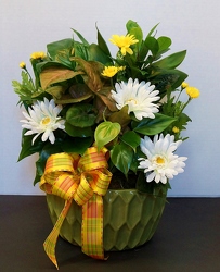 Dishgarden Planter - Large Decorated  from Krupp Florist, your local Belleville flower shop