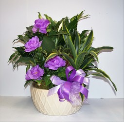 Dishgarden Planter - XL Decorated