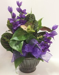 Dishgarden planter-small dish17-1 from Krupp Florist, your local Belleville flower shop
