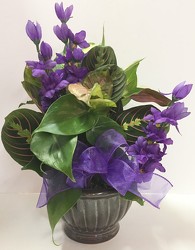Dishgarden Planter - Small Decorated from Krupp Florist, your local Belleville flower shop