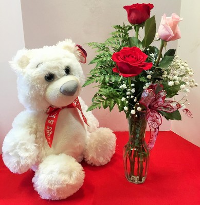 bloom bear roses