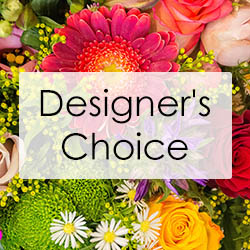 Designer's Choice   from Krupp Florist, your local Belleville flower shop