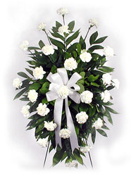 White Serenity from Krupp Florist, your local Belleville flower shop