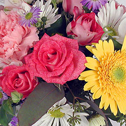 Designer's Choice   from Krupp Florist, your local Belleville flower shop