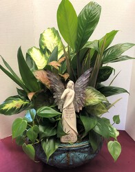 dishgarden with angel plant-dishangel11 from Krupp Florist, your local Belleville flower shop