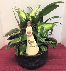 dishgarden with angel plant-dishangel3 from Krupp Florist, your local Belleville flower shop