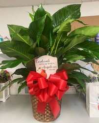 Peace Lily Basket w/ Cardinal Garden Stake  from Krupp Florist, your local Belleville flower shop