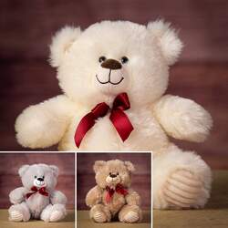 10.5" small velveteen bear plush-2110 from Krupp Florist, your local Belleville flower shop