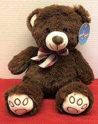 13" Paw Print Teddy plush-4301 from Krupp Florist, your local Belleville flower shop