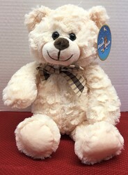 13" Country Bear Cuddles plush-4304 from Krupp Florist, your local Belleville flower shop