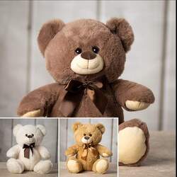 14" bear plush-bear1847 from Krupp Florist, your local Belleville flower shop