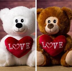 9.5" Smiling valentine bear plush-bear2401 from Krupp Florist, your local Belleville flower shop