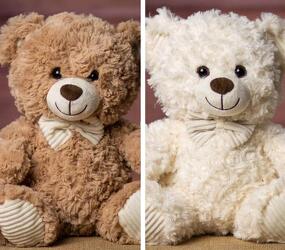 11" Friendly Face Bear Pair plush-bear4181 from Krupp Florist, your local Belleville flower shop