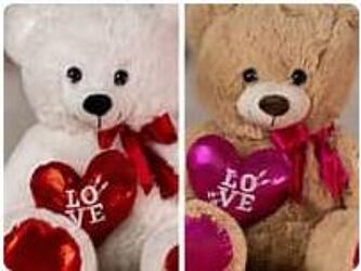 20" Cupid Heart Bear Duo plush-bearv661 from Krupp Florist, your local Belleville flower shop
