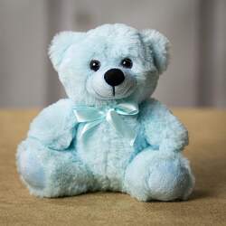 Blue bear for baby boy plush-bboy from Krupp Florist, your local Belleville flower shop