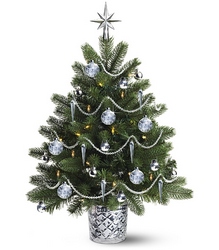 Galway Crystal Christmas Tree from Krupp Florist, your local Belleville flower shop