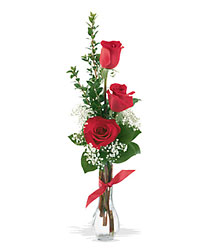 3 Red Roses from Krupp Florist, your local Belleville flower shop