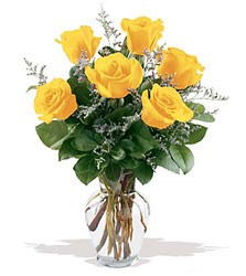 Yellow Roses from Krupp Florist, your local Belleville flower shop