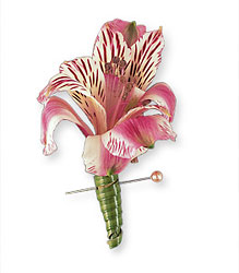 Pink Alstroemeria Boutonniere from Krupp Florist, your local Belleville flower shop